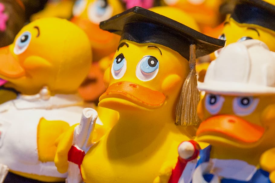 bath duck, plastic, rubber duck, quietscheente, toys, toy duck HD wallpaper