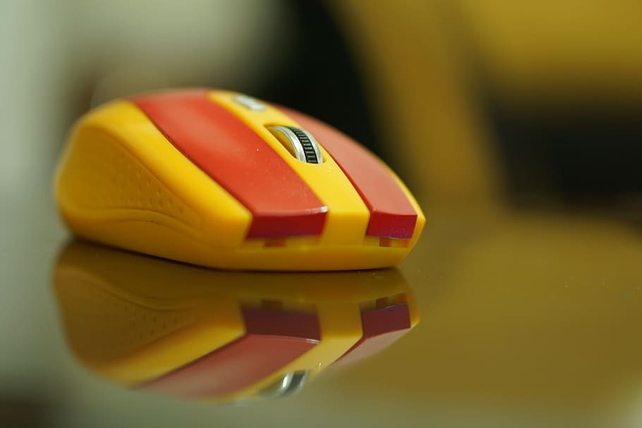 mouse, galatasaray, yellow red, close-up, indoors, focus on foreground, HD wallpaper