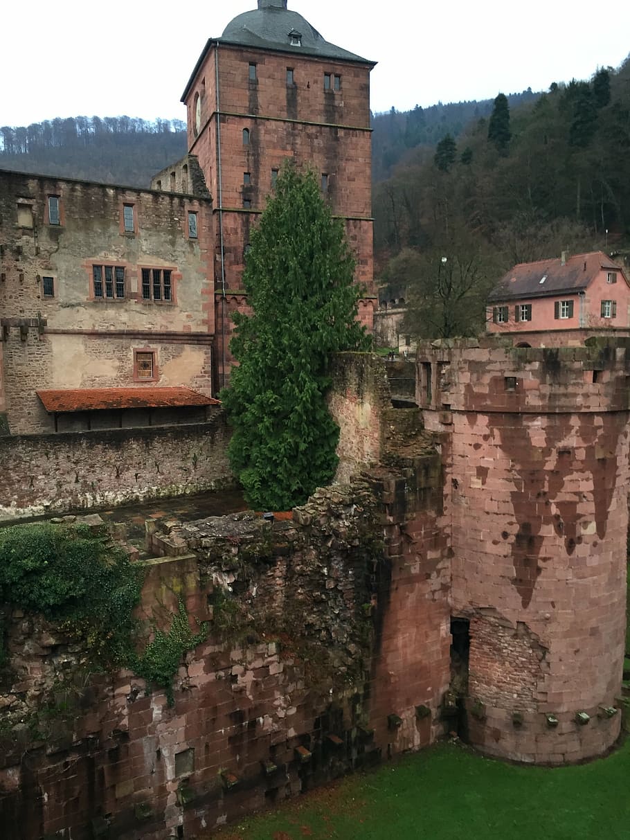 heidelberg, castle, heidelberger schloss, fortress, historically, HD wallpaper