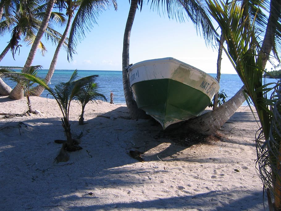mexico, sea, boot, palm trees, rowing boat, water, beach, land HD wallpaper