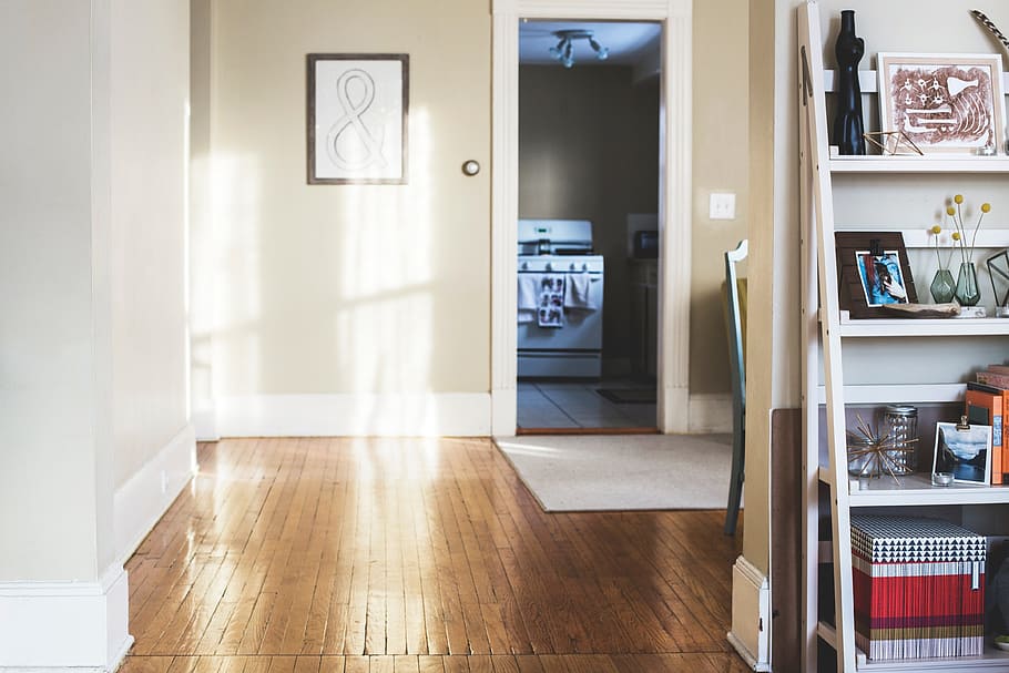 photo of painting near door, interior, design, shelf, wall HD wallpaper