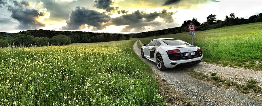 photography of silver Audi R8 near grass field, bitzer, v10 HD wallpaper