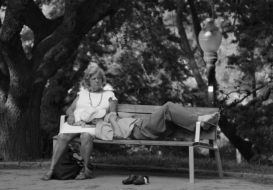 love, old age, rest, tree, full length, seat, bench, plant HD wallpaper