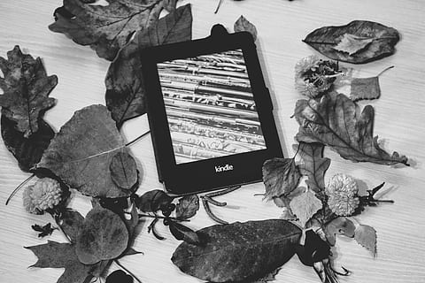 kindle, pepper white, reading, technology, digital, electronic HD wallpaper