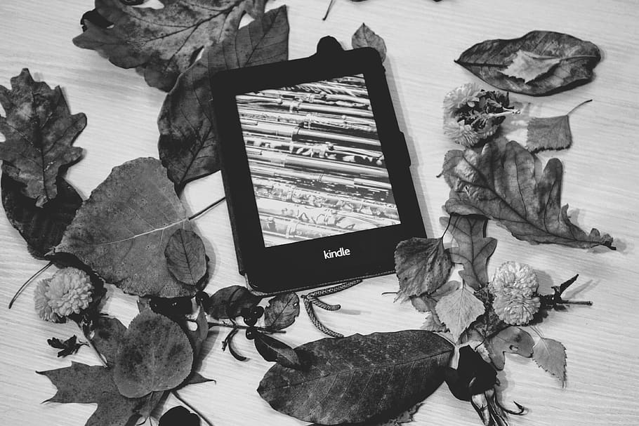 Thiết kế hình nền trắng nhẹ của Kindle đem lại cảm giác hiện đại và tươi sáng. Dù bạn muốn đặt những bức ảnh thật đơn giản hay là những bức ảnh thật sáng tạo, thì hình nền này vẫn luôn là sự lựa chọn hoàn hảo.