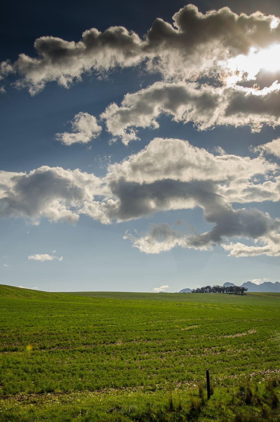 meadows, pasture, grass, fields, sky, landscapes, clouds, green HD wallpaper