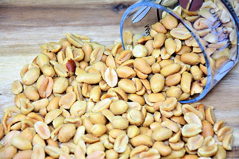 peanuts, knabberzeug, nibble, snack, roasted, cores, food, nutrition HD wallpaper