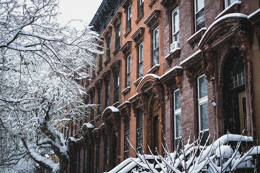 brown building near bare trees covered with snow, brown concrete building near tree HD wallpaper
