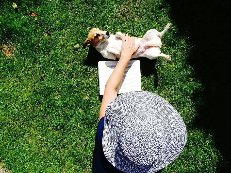 person in blue sun hat holding dog outside during daytime, doggy, HD wallpaper