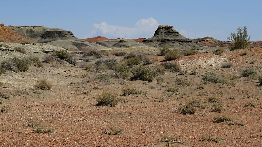 bisti, badlands, new, mexico, desert, geology, southwest, wilderness, HD wallpaper