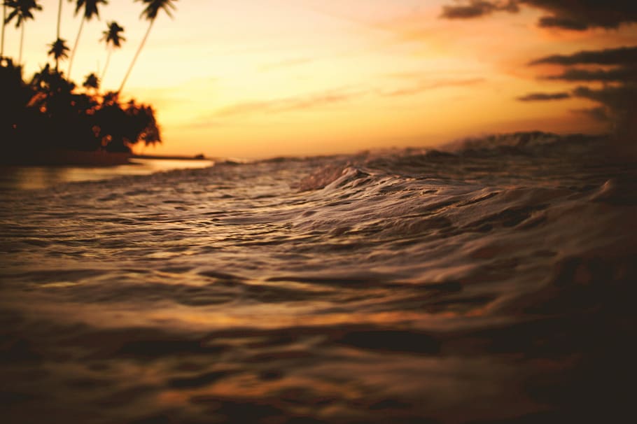 time lapse photography of sea waves, seashore with coconut tree during golden hour HD wallpaper