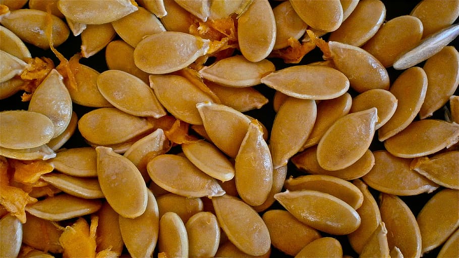 gray squash seeds, pumpkin, fruit, vegetable, nature, food and drink HD wallpaper