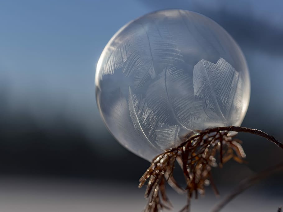 selective focus photography of glass ball, macro photograph of water on plant HD wallpaper