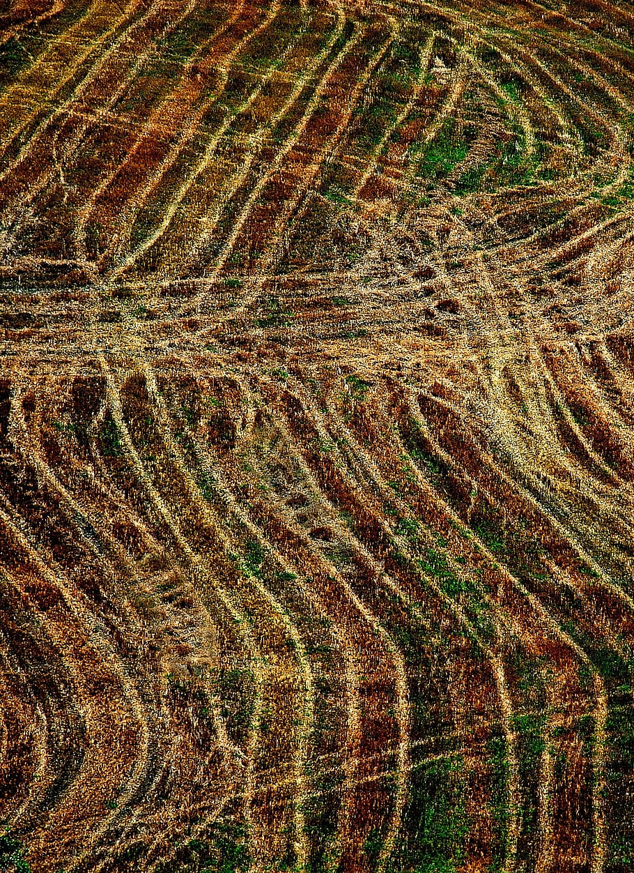field, plowed, furrows, landscape, tuscan, cultivation, image HD wallpaper