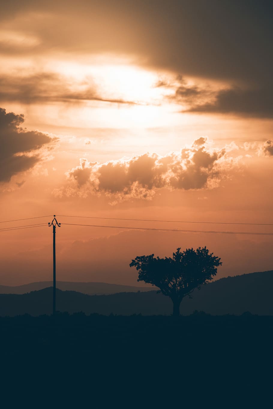 silhouette of tree beside electric post at golden hour, silhouette of tree during dusk HD wallpaper