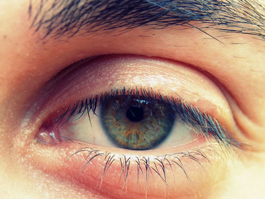 person's left eye, iris, viewing, eyes, eye lashes green, vision HD wallpaper