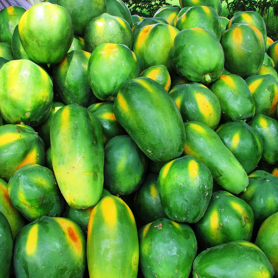 HD wallpaper: papaya, fruit, green, tropical, exotic, heap, malebennur,  india | Wallpaper Flare