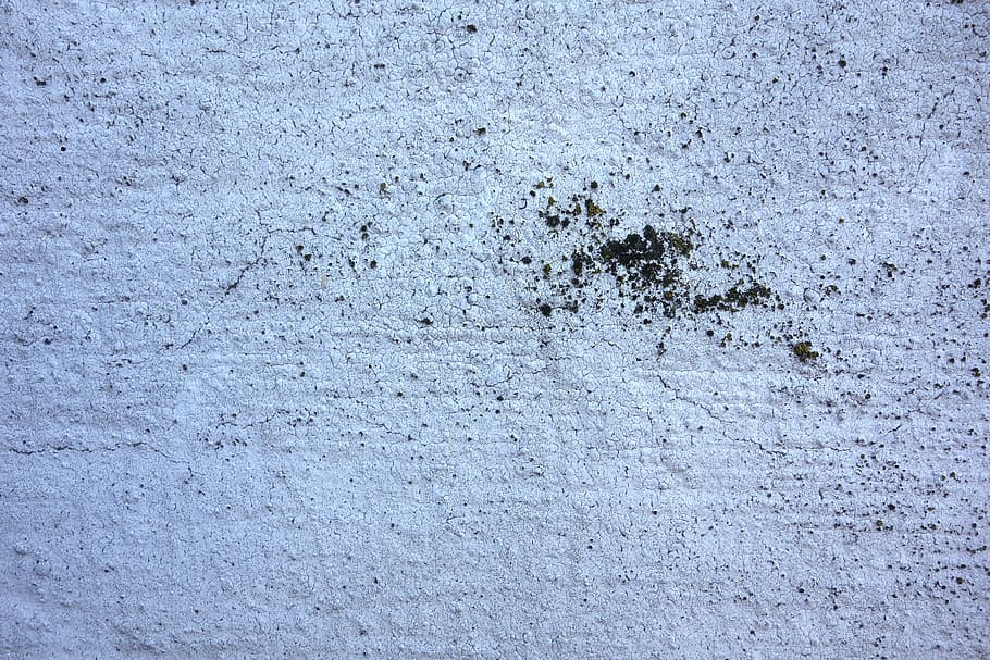 wall, plaster, cracks, white, facade, structure, stains, full frame HD wallpaper