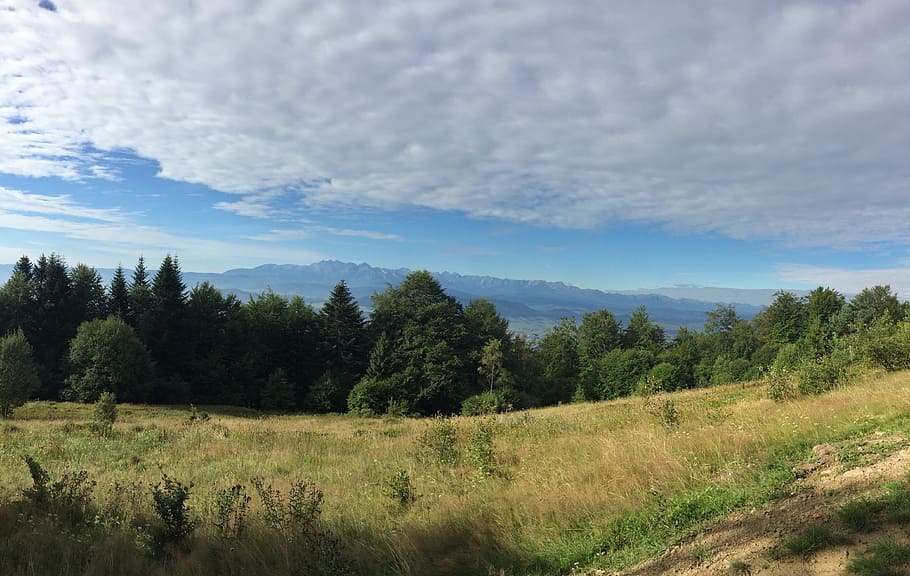 hot, mountains, landscape, view, hiking trail, plant, tree HD wallpaper