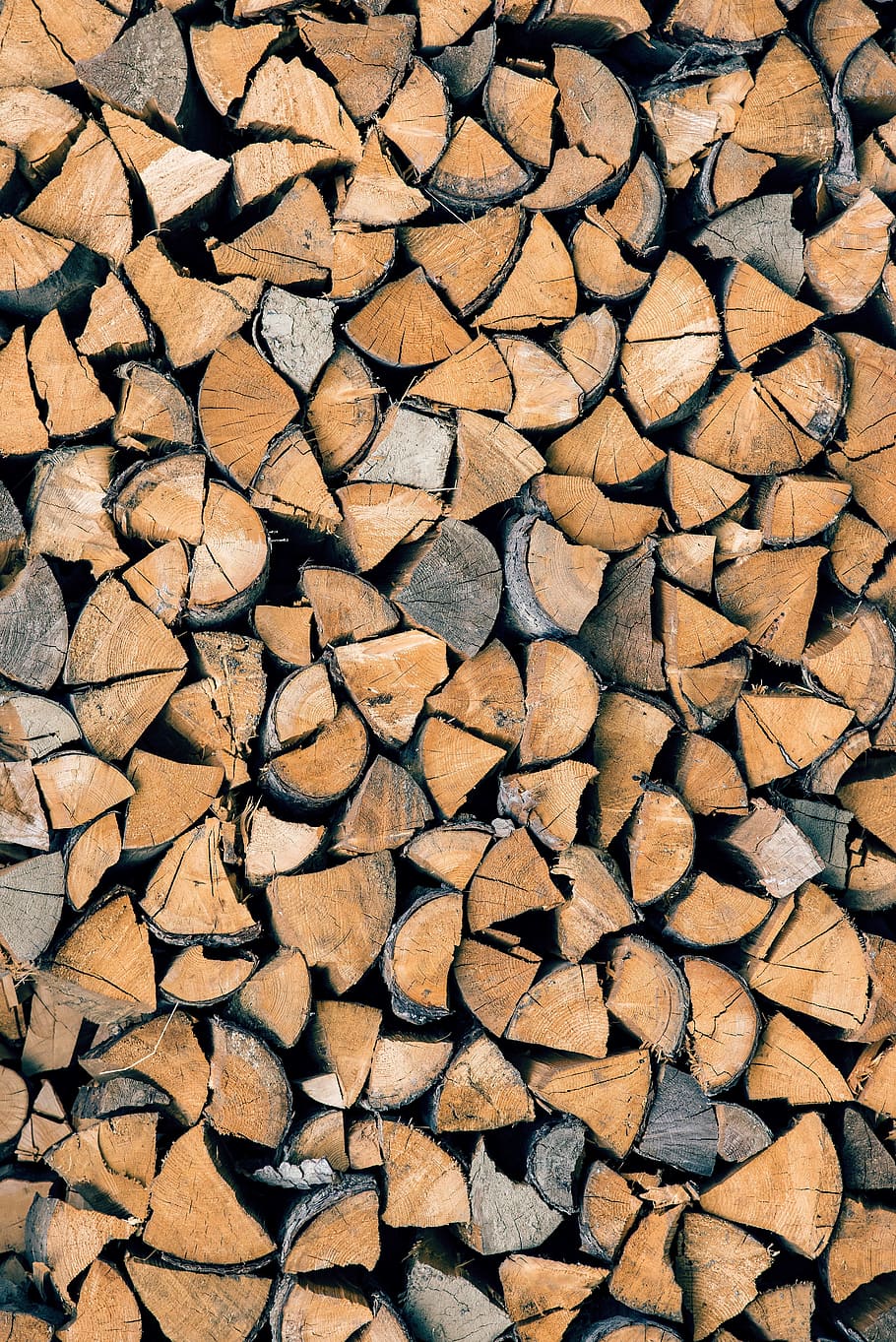 wood, trunks, tree trunk, texture, nature, bark, colors, lumber, HD wallpaper