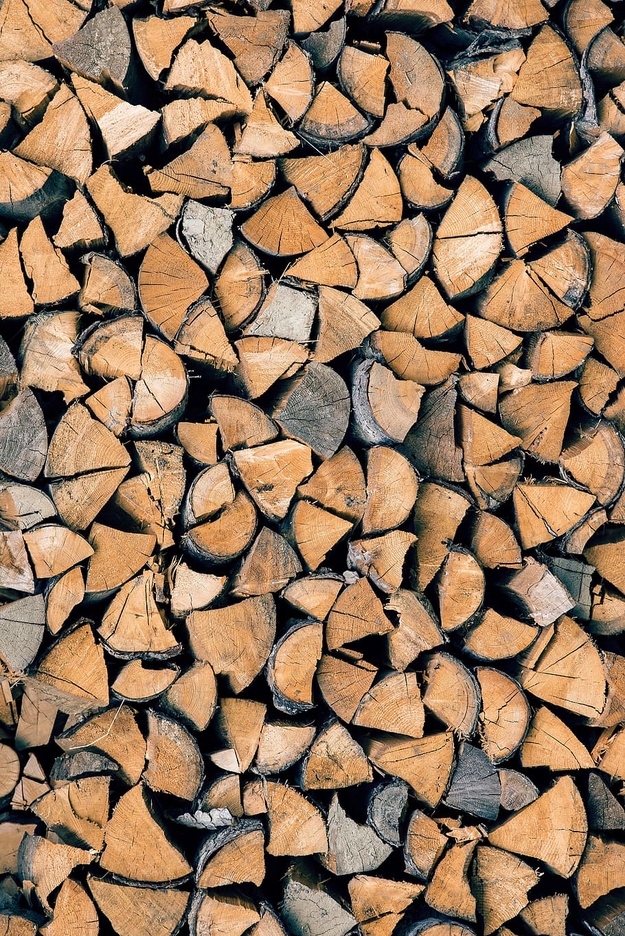 wood, trunks, tree trunk, texture, nature, bark, colors, lumber HD wallpaper
