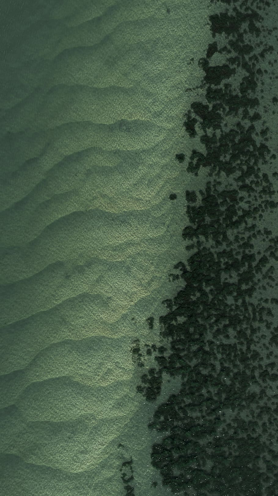 brown sand, aerial view photography of seashore, texture, surface HD wallpaper