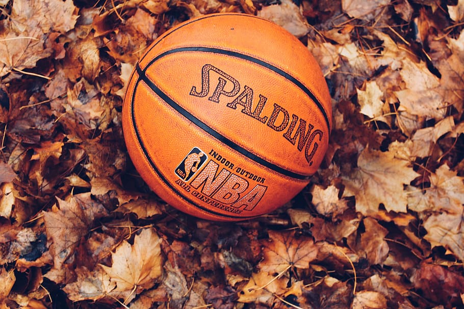 orange Spalding basketball on dried leaves, NBA Spalding basketball
