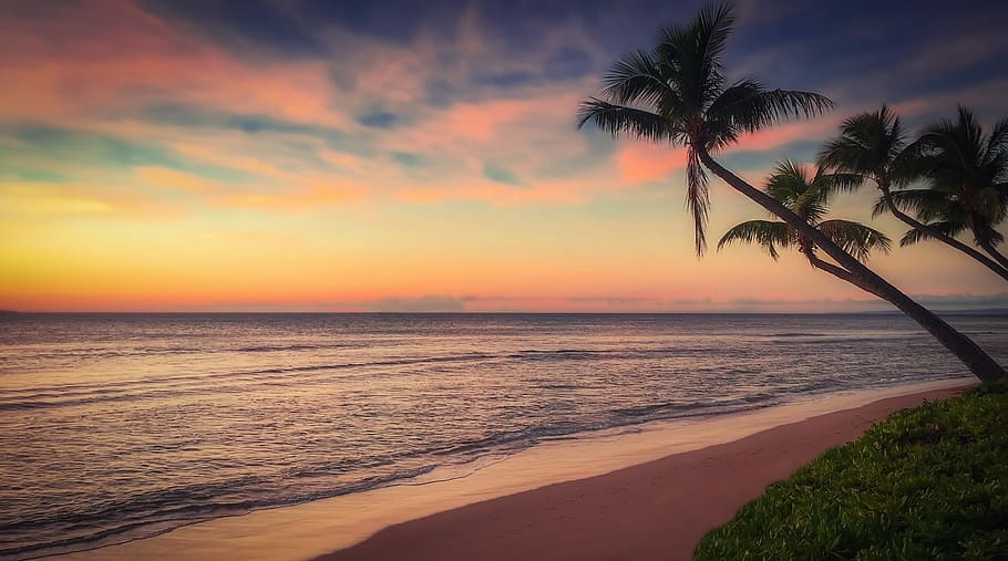 body of water and sunset, beach, ocean, coast, in the evening HD wallpaper