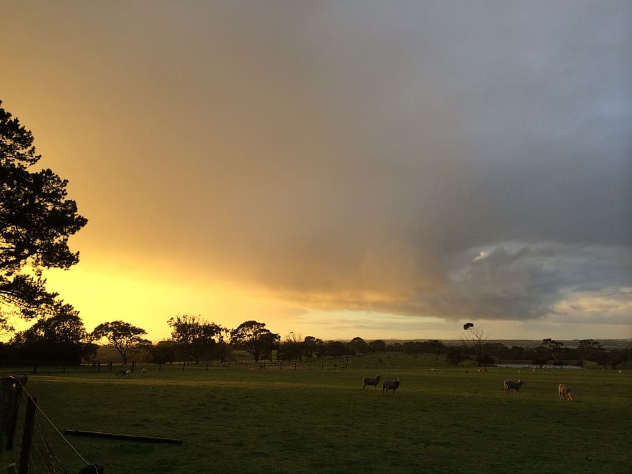 Sunset, Stormy, Clouds, sky, weather, dramatic, landscape, dusk HD wallpaper