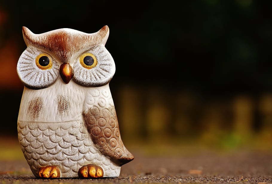 owl, bird, funny, ceramic, animal, cute, deco, figure, decoration HD wallpaper