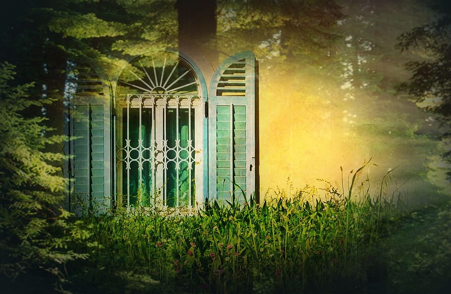 open white and teal wooden window with white metal grill beside green grass field HD wallpaper