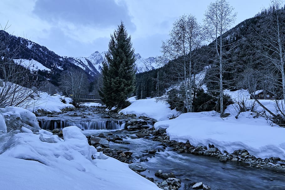winter, brook, mountains, morning, nature, stream, tree, gerlos, HD wallpaper
