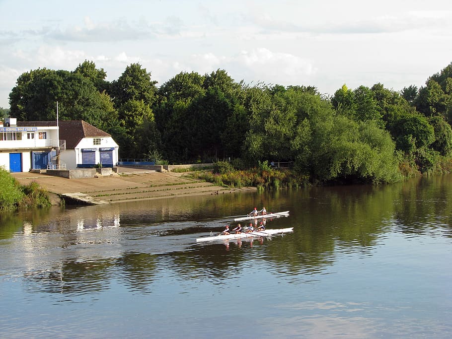 Rowing, River Thames, Thames, River, River, Thames, rowers HD wallpaper