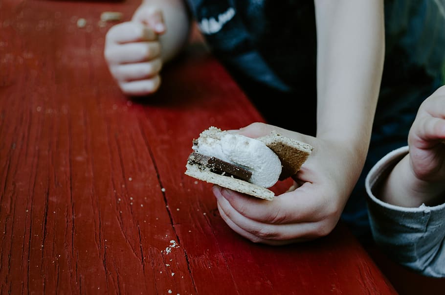 person holding sandwich, person holding biscuit on tabletop, campfire HD wallpaper