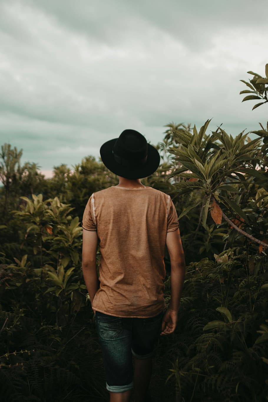 person wearing black fedora hat and brown crew-neck t-shirt walking small green trees under white clouds and blue sky during daytime, man standing near green leaf plants during daytime HD wallpaper