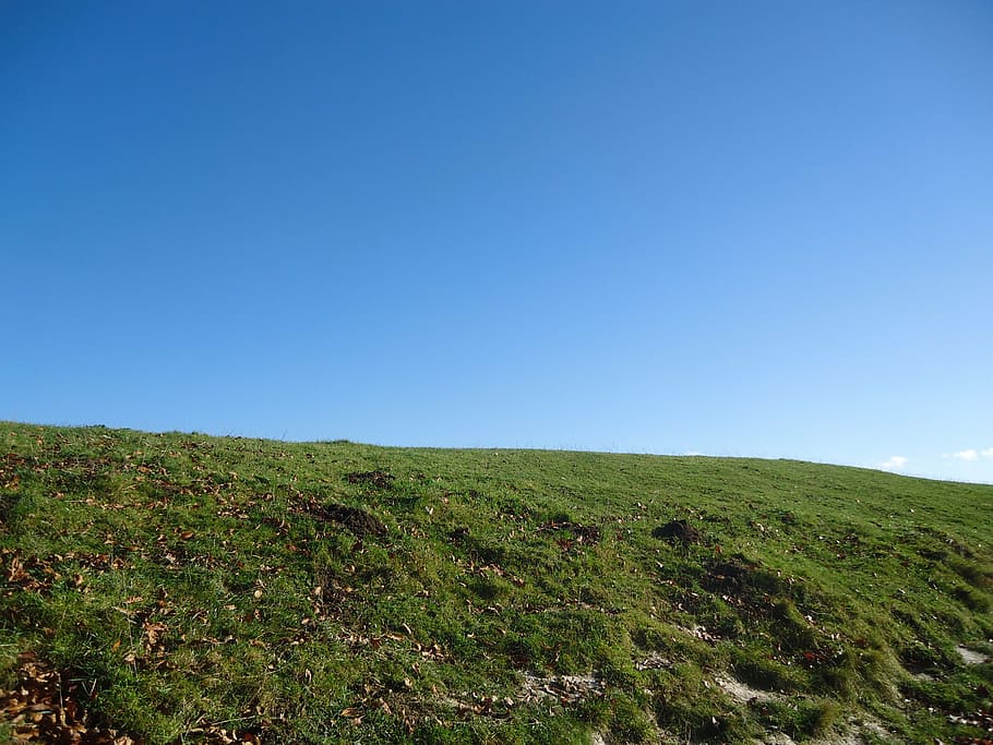 hill, top, grass, summit, sky, blue, green, england, united kingdom HD wallpaper