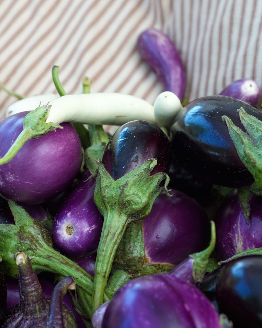 Eggplant Photos, Download The BEST Free Eggplant Stock Photos & HD Images