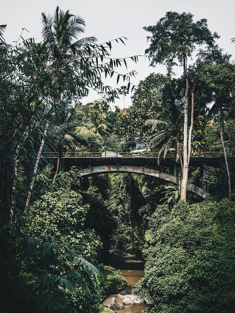 sky, green, plant, trees, bridge, structure, car, travel road HD wallpaper