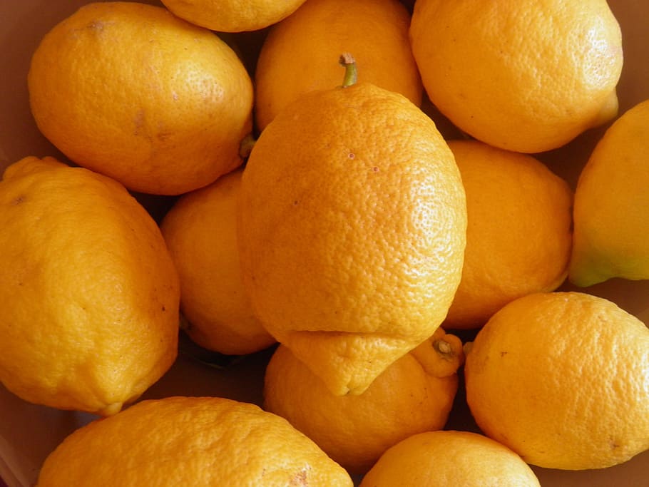 lemon, fruit, yellow, fresh fruit, healthy, citrus, vitamin HD wallpaper