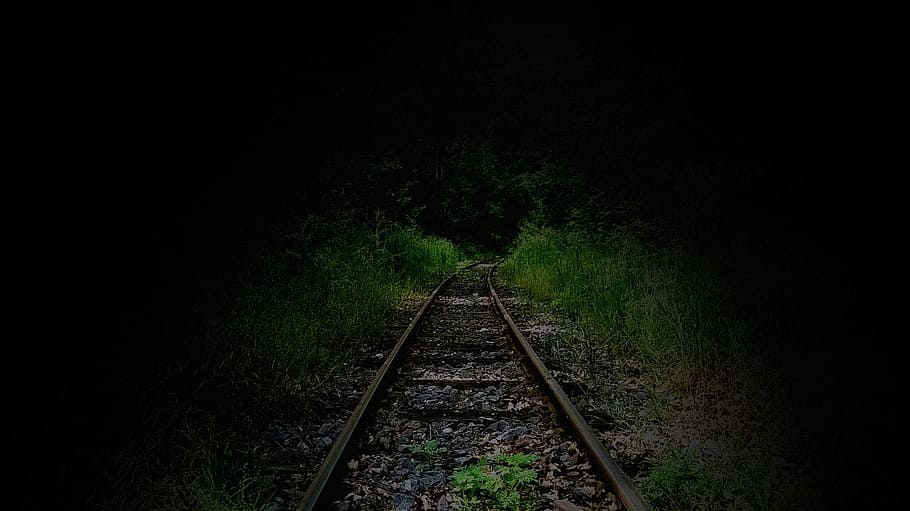 Rail, Forest, Rails, Train, Nature, railroad track, night, transportation HD wallpaper