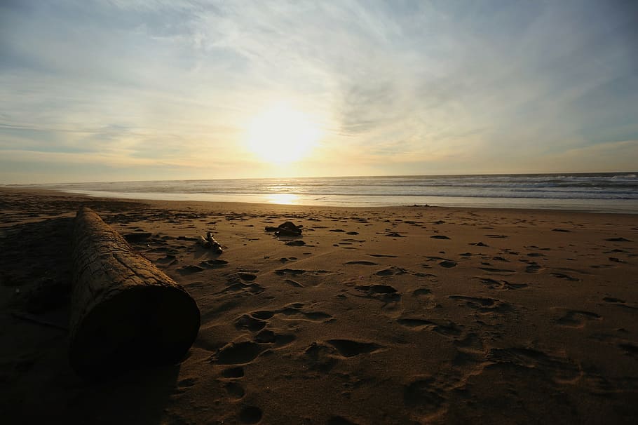 seashore during golden hour, beach, sand, sunset, seascape HD wallpaper
