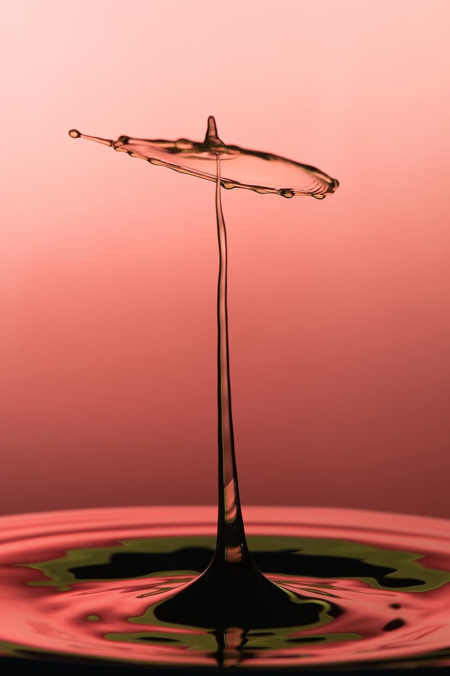 macro photography of water drop, splash, impact, waves, mushroom HD wallpaper