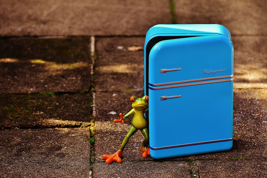 frog, refrigerator, blue, figure, funny, frogs, cute, plastic HD wallpaper