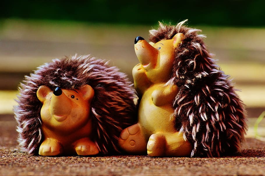 hedgehog, ceramic, plush, funny, cute, soft toy, group of animals HD wallpaper