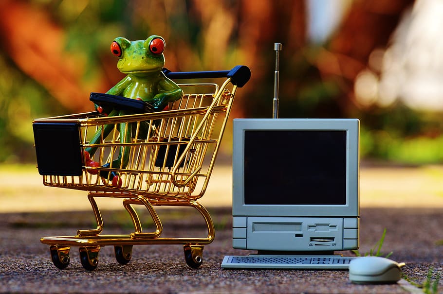 red eye tree frog in shopping cart, online shopping, purchasing