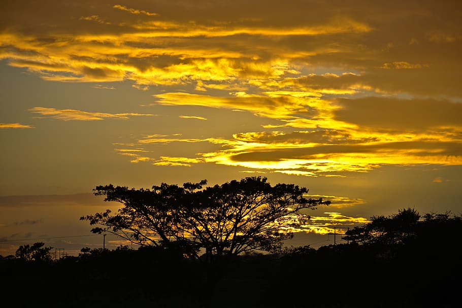 sunset, dawn, dusk, nature, clouds, golden hour, sky, light HD wallpaper