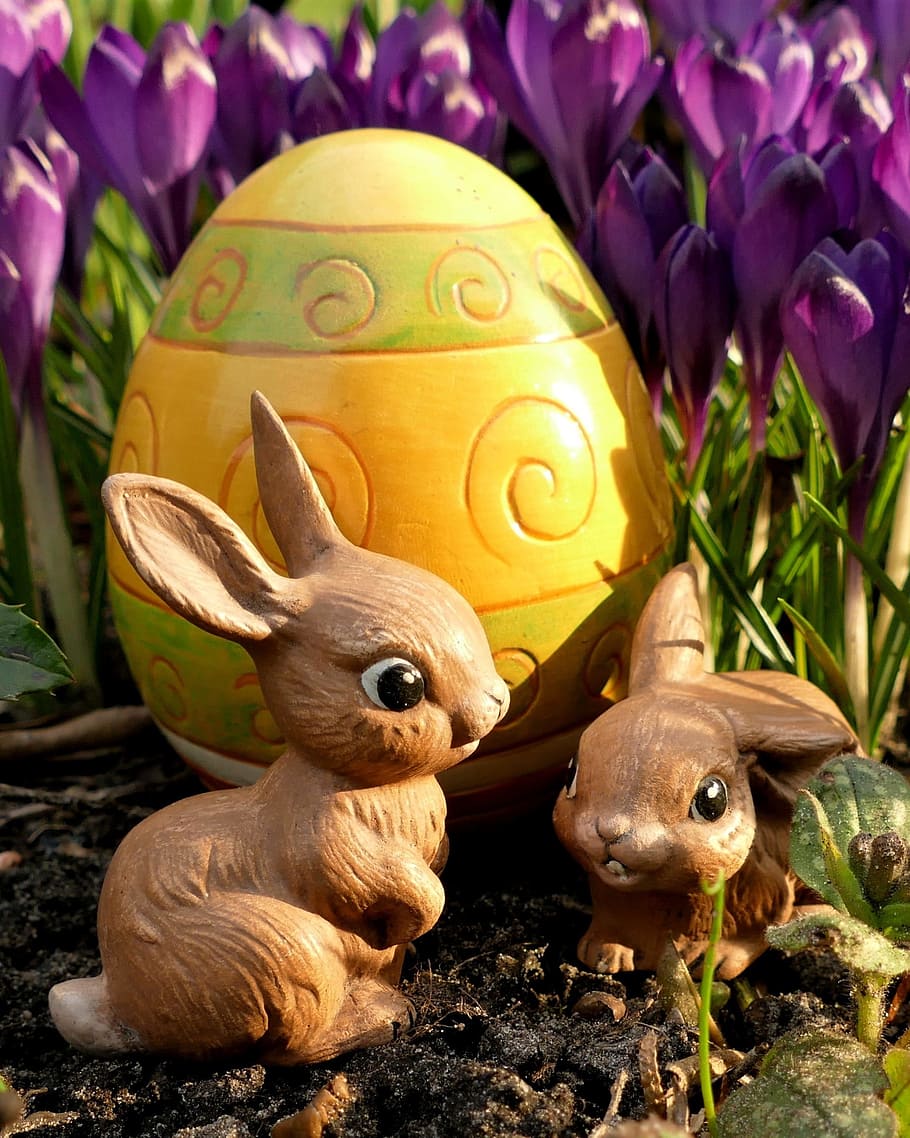 two rabbit figurines near yellow decorative egg and purple flowers during day HD wallpaper