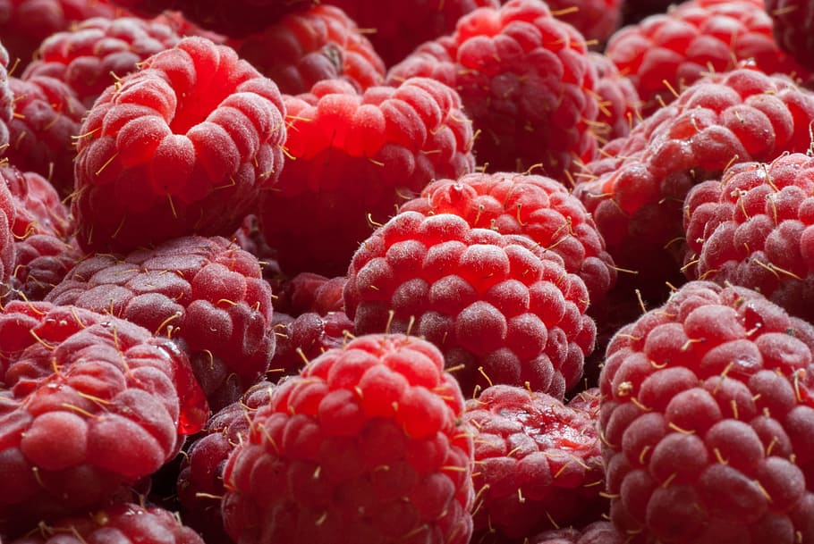 raspberry, macro, red, food, fresh, organic, fruit, healthy HD wallpaper