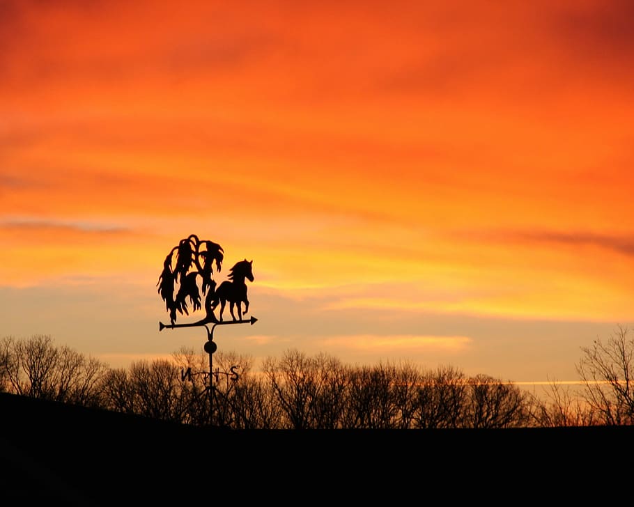 Sunset, Weather Vane, sky, direction, cloud, silhouette, animals in the wild HD wallpaper