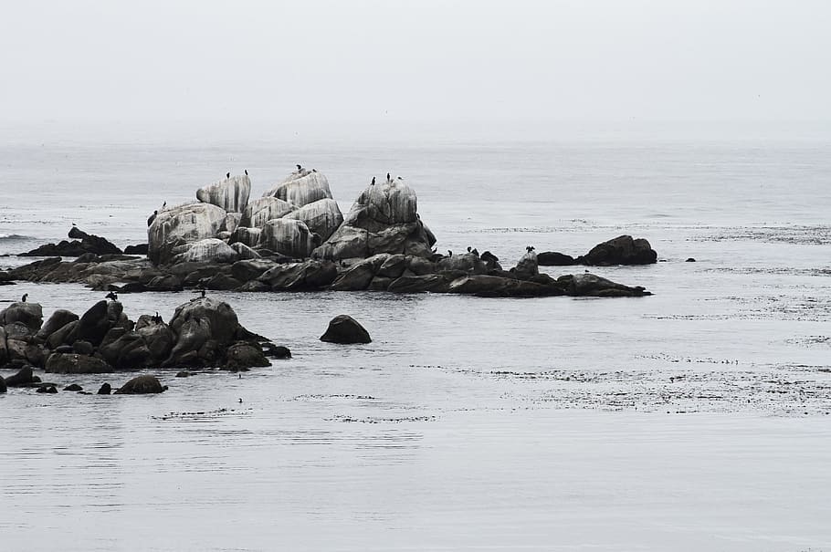 landscape photography of seashore rocks, rock formation in body of water HD wallpaper